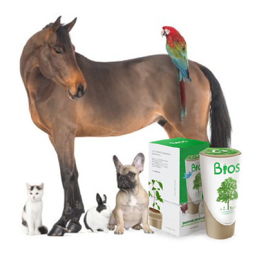 Bio urn best sale for pets